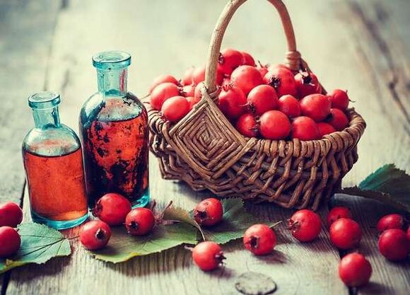Owoce Hawthorn, aby zwiększyć członka